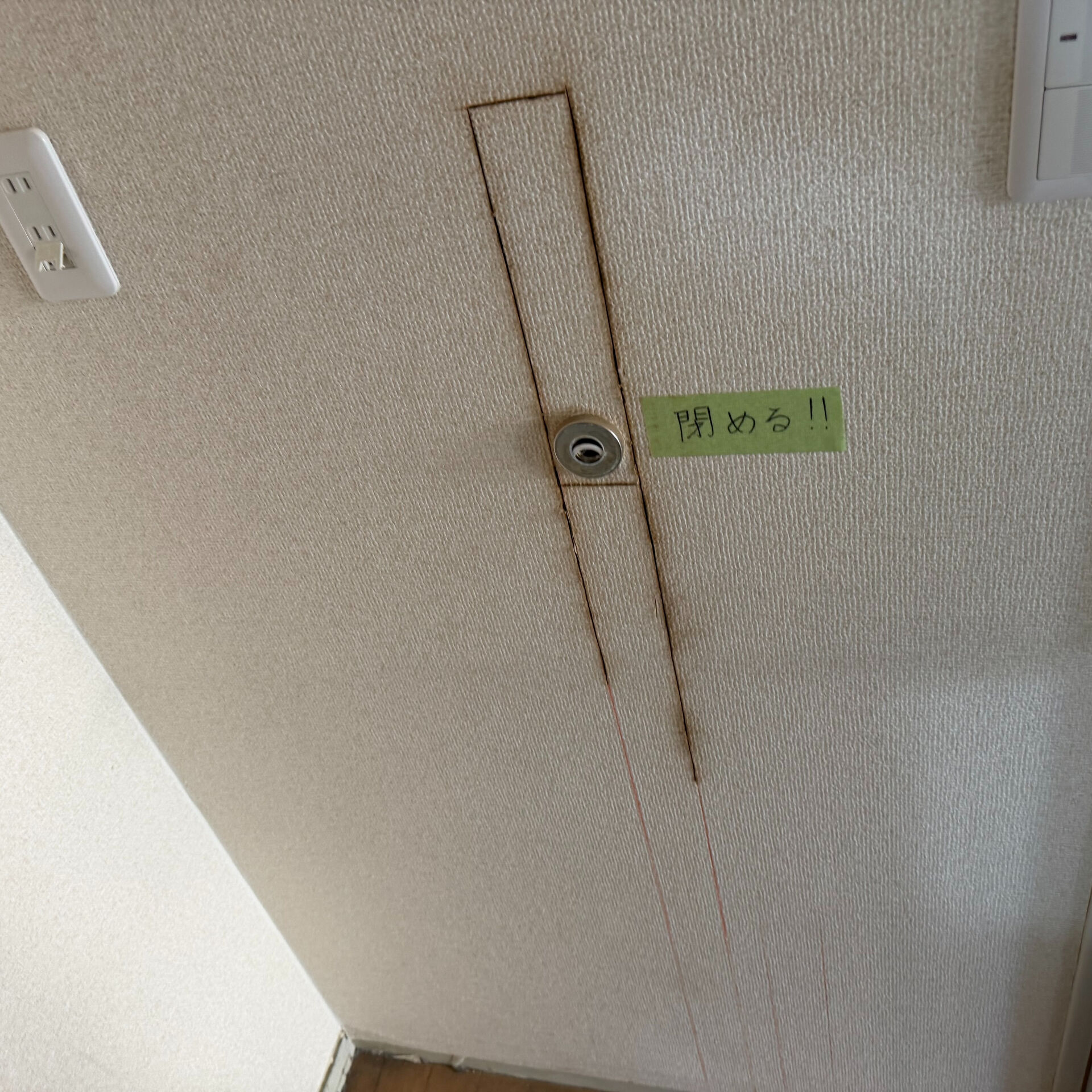画像24861